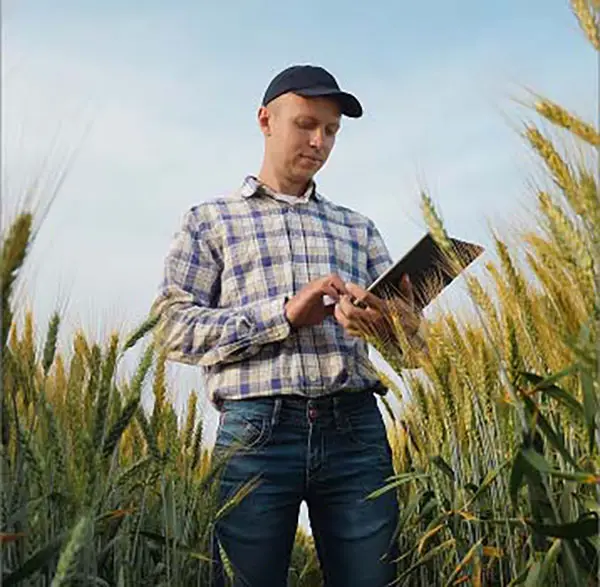 Agricultural industry professional reviewing crop data on tablet in wheat field - American Drone Network partner